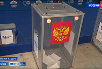 Высокая явка и иностранные наблюдатели: как на Дону прошли выборы президента