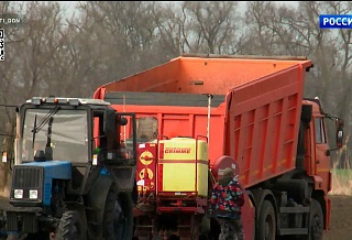 Аграрии Ростовской области приступили к высаживанию картофеля